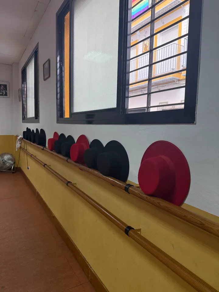 ESTUDIO DE BAILE ALICIA VEGA — baile-studio en San Vicente, Sevilla — 2
