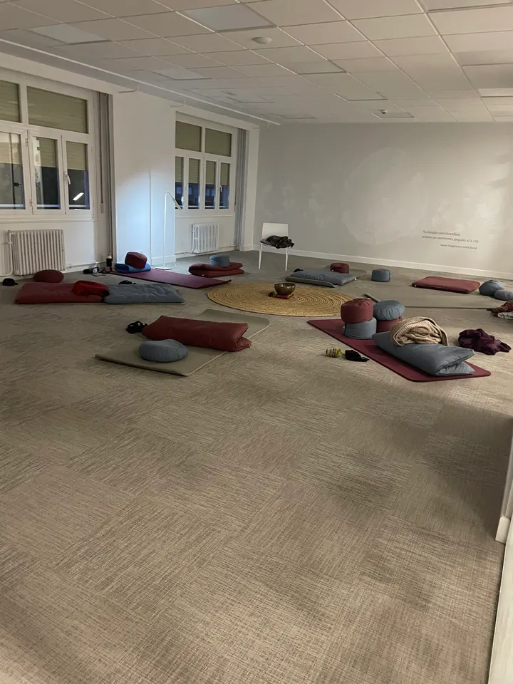 Centro de Yoga y Pilates Ananda Móstoles — yoga-studio en Móstoles — 3