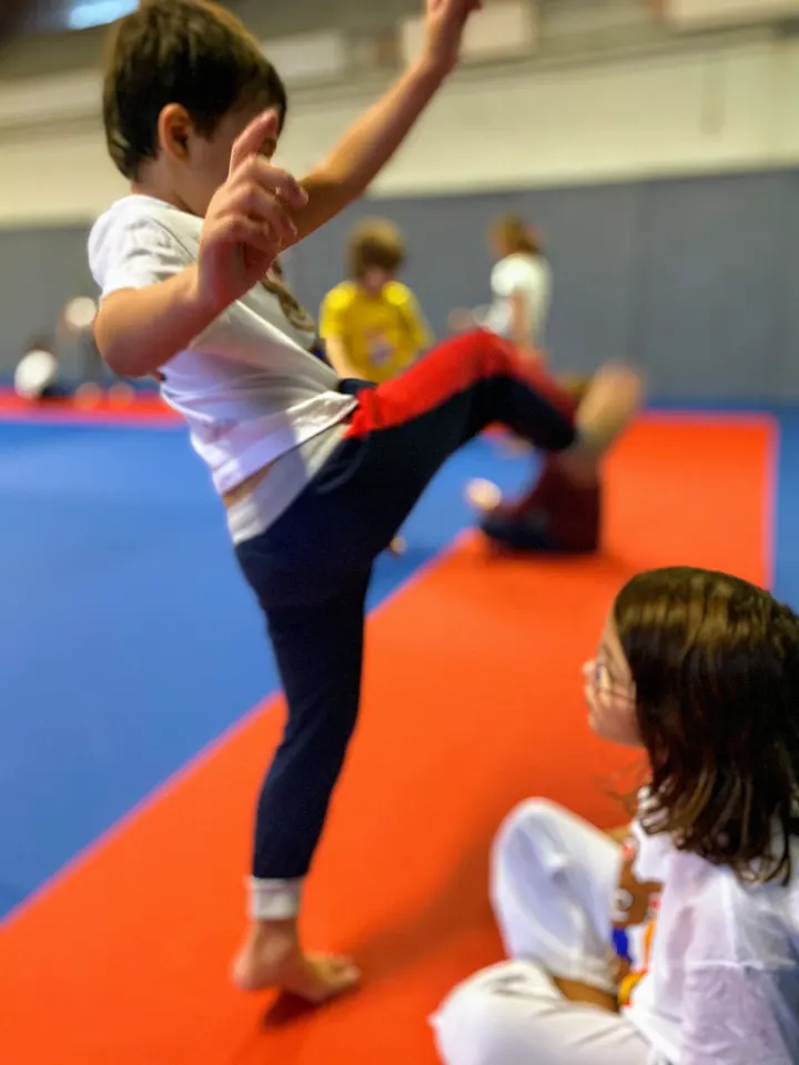 Capoeira Senzala Lyon Bron — arts martiaux-studio à Bron, Lyon — 2