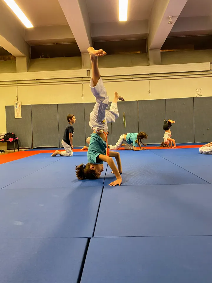 Capoeira Senzala Lyon Bron — Arts martiaux à Bron
