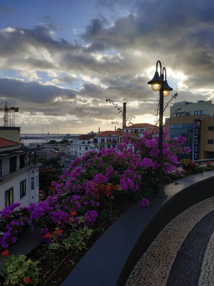 Ginásio Platinium Health — ginásio-studio em Funchal — 3