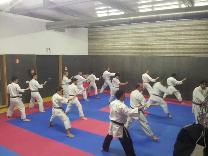 Okami Aldaia — artes marciales-studio en Aldaia, Valencia — 3