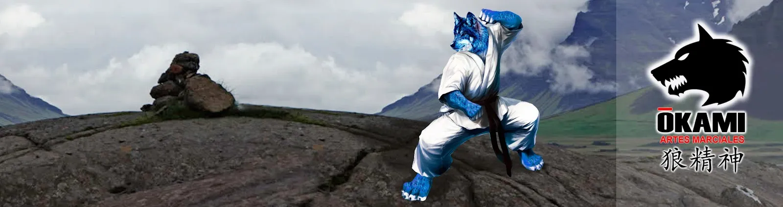Club Deportivo Okami - Artes Marciales — artes marciales-studio en Aldaia — 5