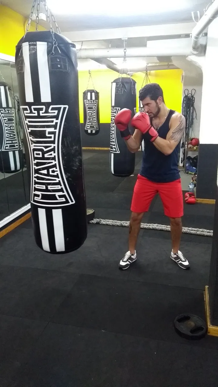 Team Saez Club Deportivo — Artes marciales en Urbanització Les Atzavares, Elx