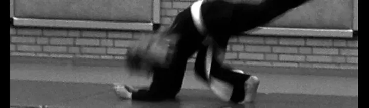 Bujinkan Nintai Dojo Rotterdam Nieuwland — Vechtsport in Nieuwland, Schiedam