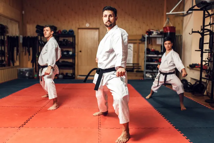 Karate-Do — Arts martiaux à Sanvic, Le Havre
