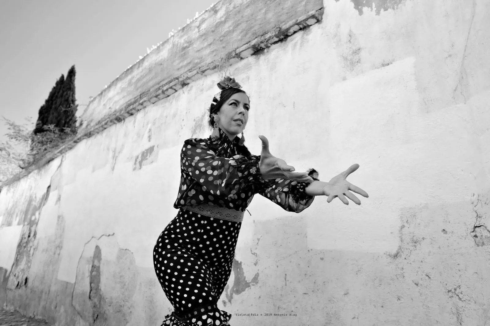 Flamenco Violeta Ruiz — baile-studio en La Zubia — 3