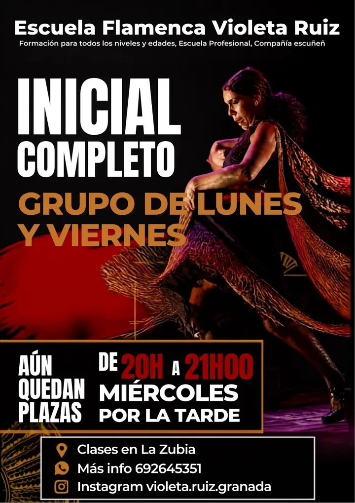 Flamenco Violeta Ruiz — baile-studio en La Zubia — 3