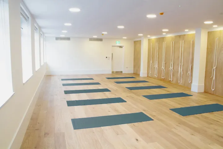 Cheshire Yoga — Yoga in Altrincham