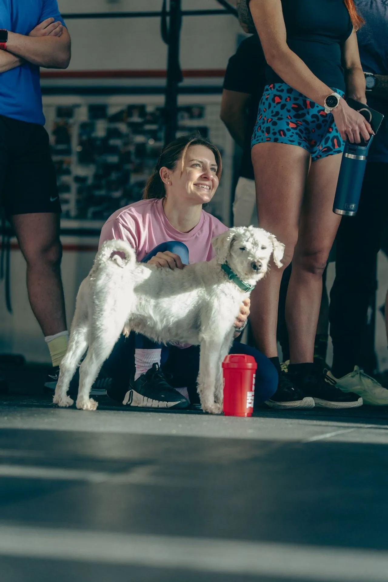 CrossFit® Chester — crossfit-studio in Chester — 3