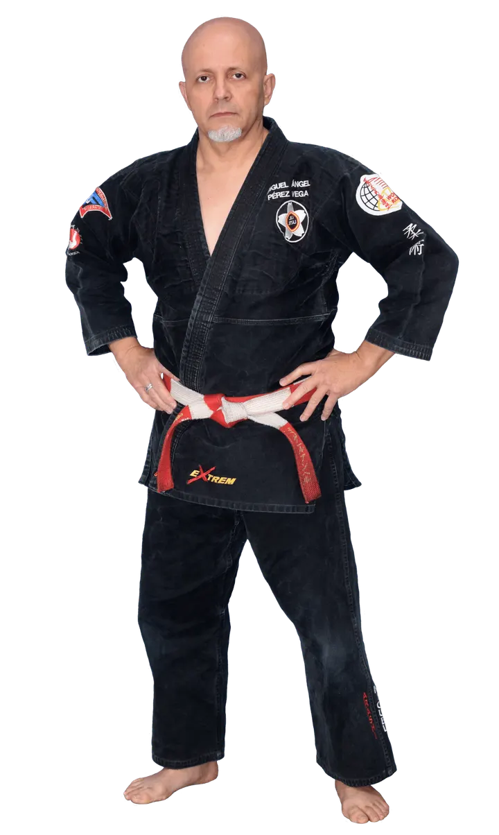 Gimnasio Arashi Escuela de Artes Marciales — artes marciales-studio en Los Giles, Las Palmas de Gran Canaria — 2