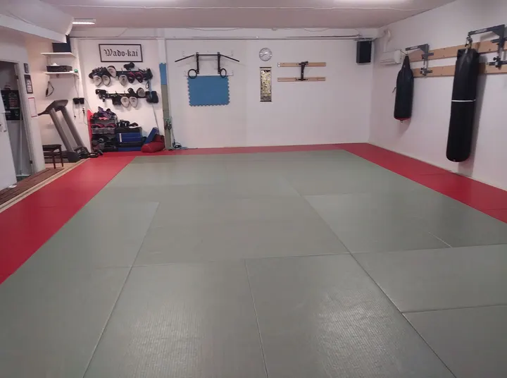 Bujinkan Kawashimo Dojo Västerås — martial arts-studio i Lunda, Västerås