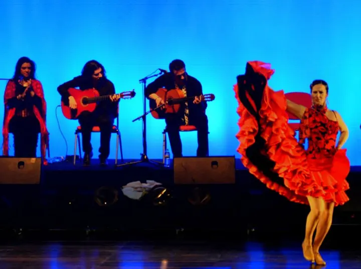 FLAMENCO AL ANDALUS COURS DANSE LYON SALSA ORIENTALE — danse-studio à Lyon — 4