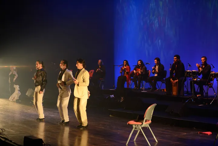FLAMENCO AL ANDALUS COURS DANSE LYON SALSA ORIENTALE — Danse à Quartiers anciens, Lyon