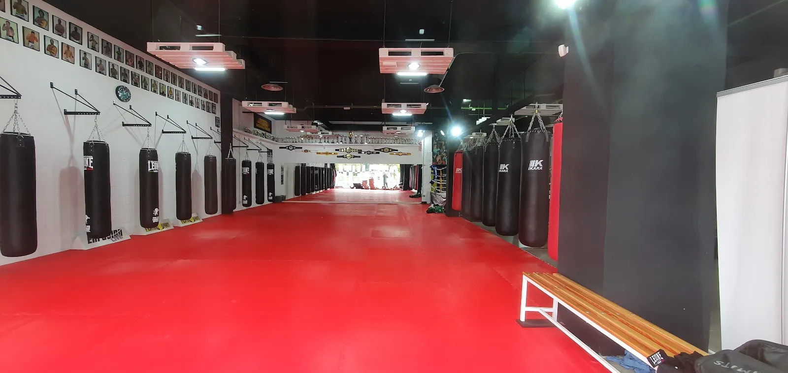 National Fitness — estudio de fitness-studio en Alpicat — 3