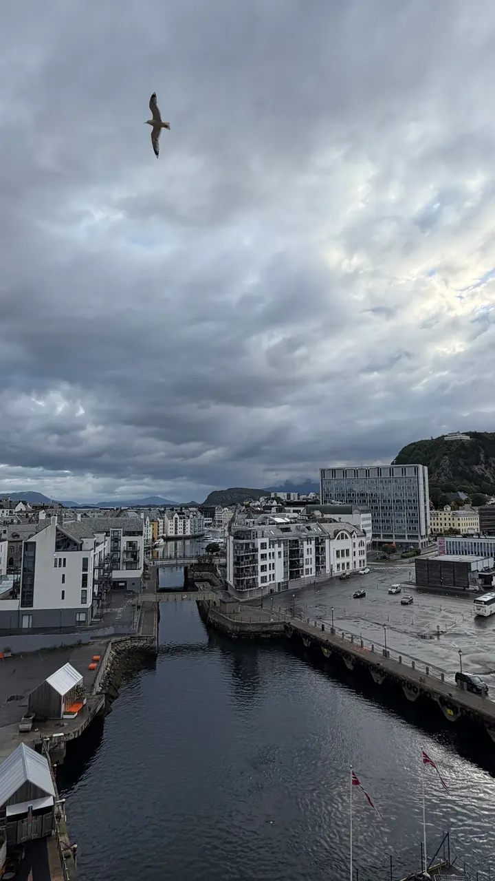 SVAI Sauna Kulturhavna — recovery-studio i Ålesund — 4