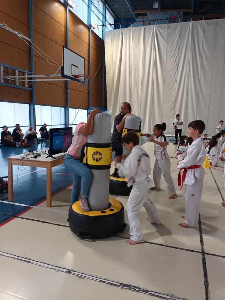 Taekwondo du Pays d'Aix — Arts martiaux à Luynes, Aix-en-Provence