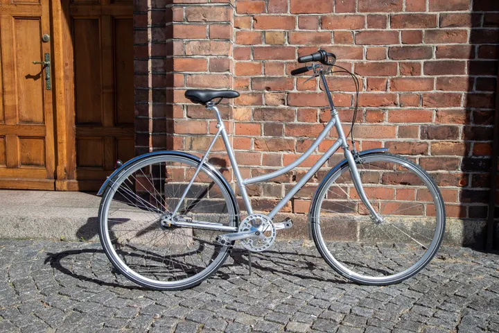 Custom Raw - Cykler — cykling-studio i Odense — 6
