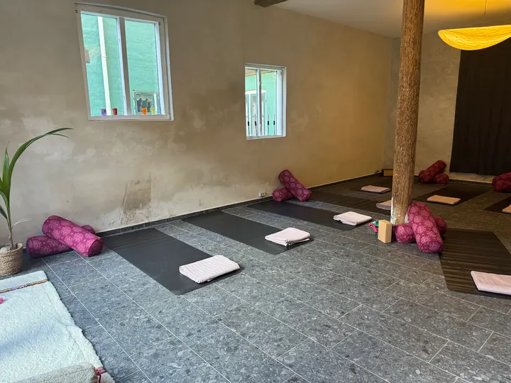 Guldberg Yoga & Coaching — yoga-studio i Helsingør — 2