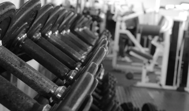 Zeus Gym — calisthenics-studio in St Leonards Green, Hastings — 2