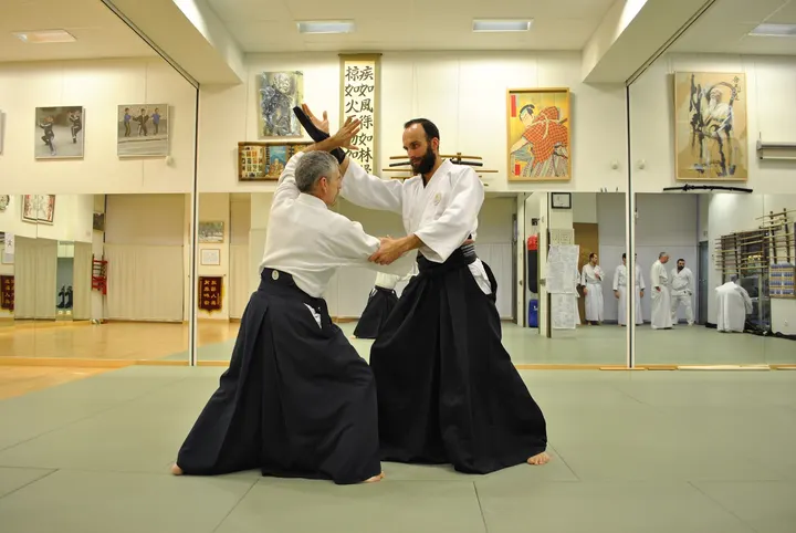 ESCUELA WUJI Artes Marciales y Bienestar — artes marciales-studio en Pamplona — 4