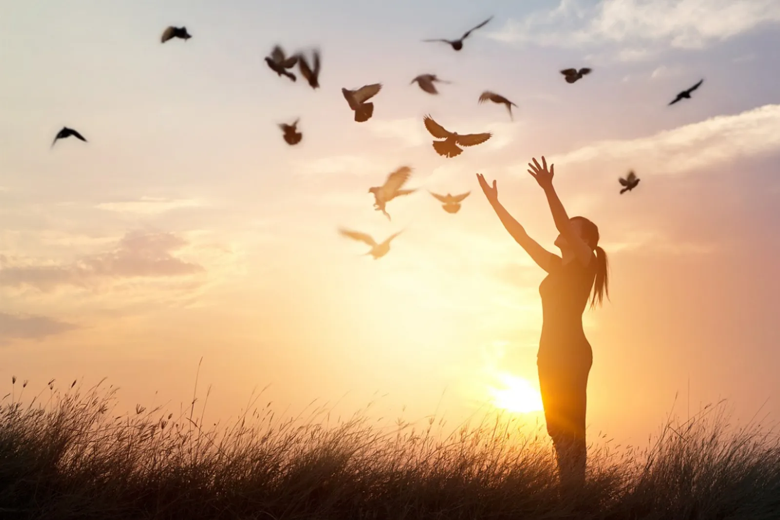 Life Balance Studio — yoga-studio in Liverpool — 2