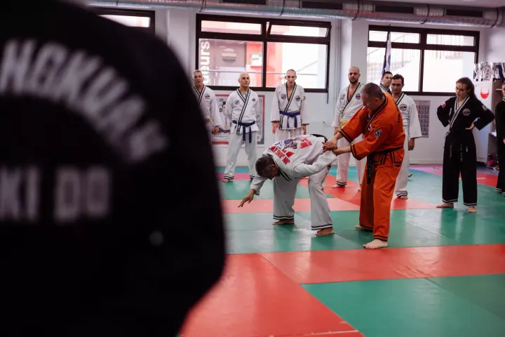 Hapkido JJK Saint Didier au Mont d'Or — arts martiaux-studio à Saint-Didier-au-Mont-d'Or, Lyon — 3