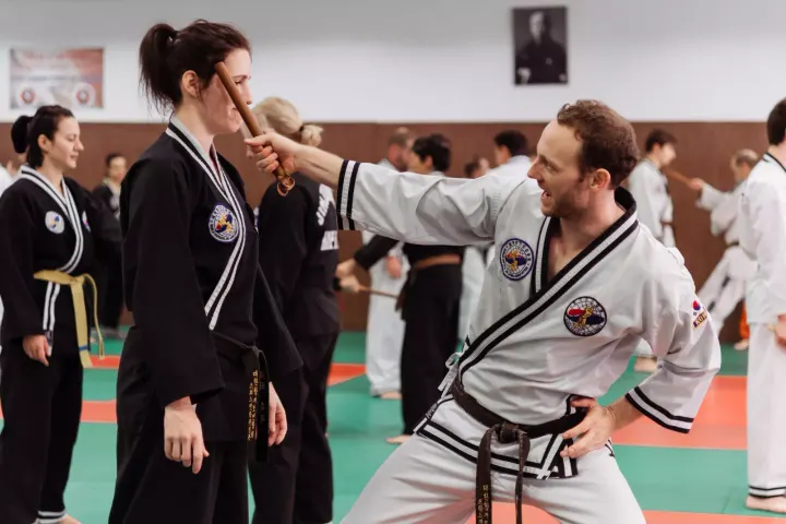 Hapkido JJK Saint Didier au Mont d'Or — arts martiaux-studio à Lyon — 3