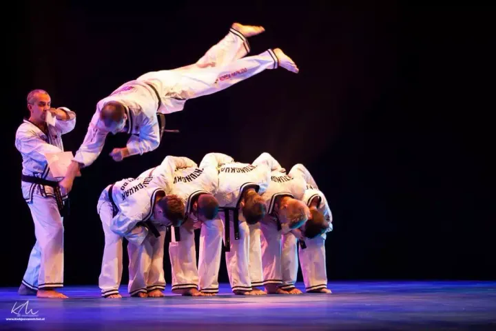 Hapkido JJK Saint Didier au Mont d'Or — arts martiaux-studio à Lyon — 5