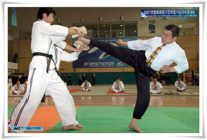 Hapkido JJK Saint Didier au Mont d'Or — arts martiaux-studio à Lyon — 6
