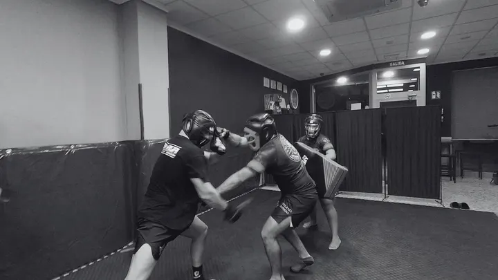 Legio Hispana Martial Arts — artes marciales-studio en Elche — 3