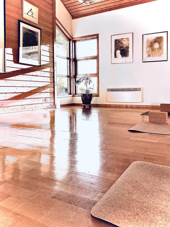 Signe Marie Bandlien Yoga - Flyt, Styrke & Balanse — Yoga i Fredly søndre, Kløfta