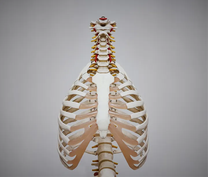 Funktion massageterapi & rehab — pt studio in Stockholm — 4