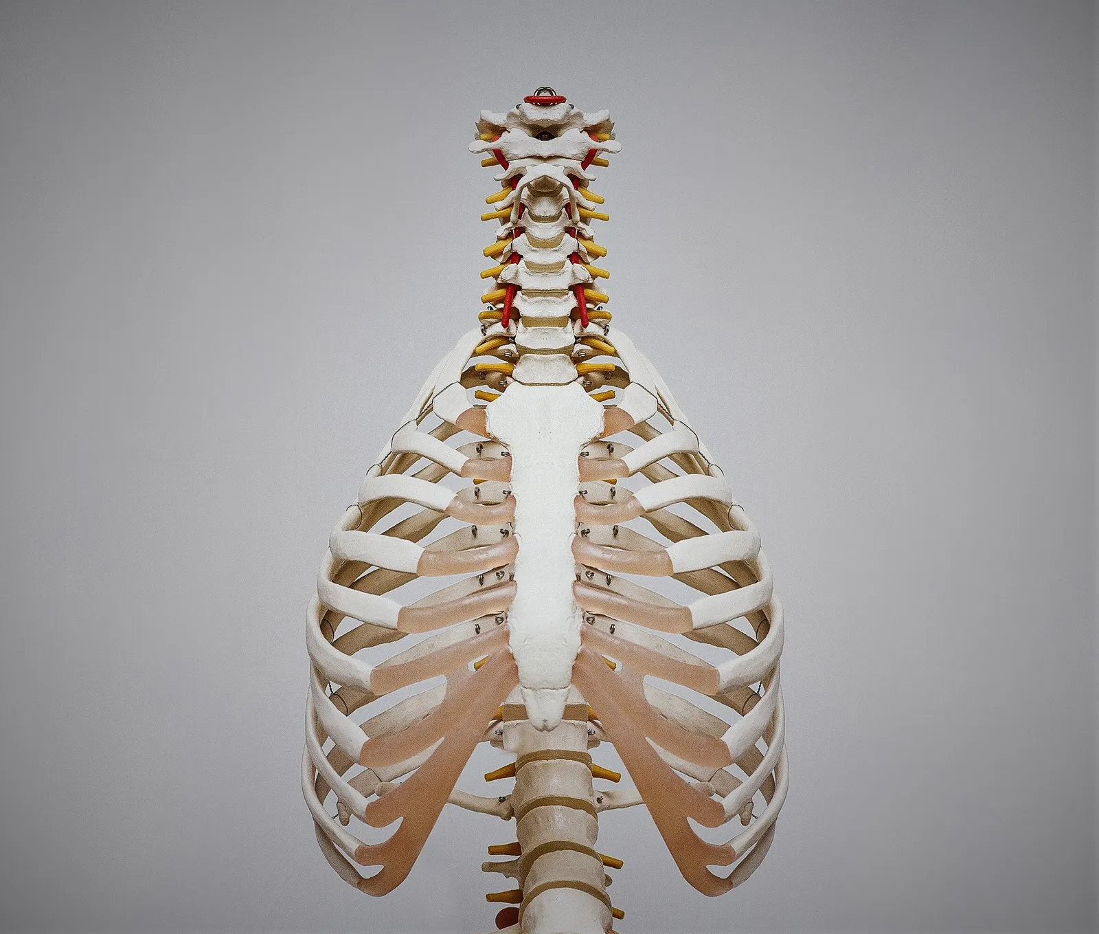 Funktion massageterapi & rehab — pt-studio-studio i Stockholm — bild 6