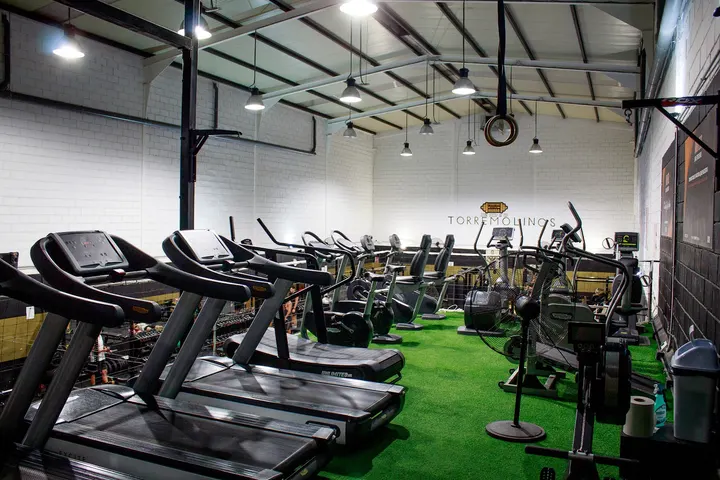 Pumping Hierro — fuerza-studio en Torremolinos — 3