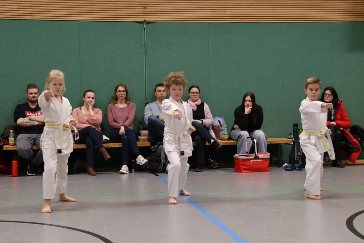 Karateverein Budokan Magdeburg e.V. — kampfsport-studio in Stadtfeld Ost, Magdeburg — 3