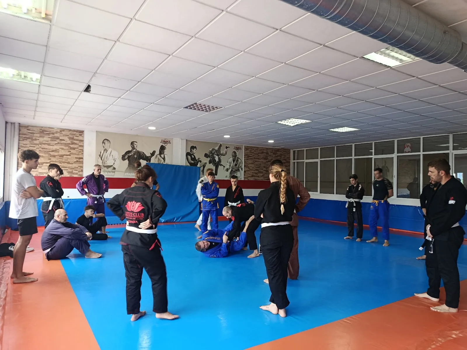 Lotus Jiu Jitsu Córdoba — artes marciales-studio en Córdoba — 3