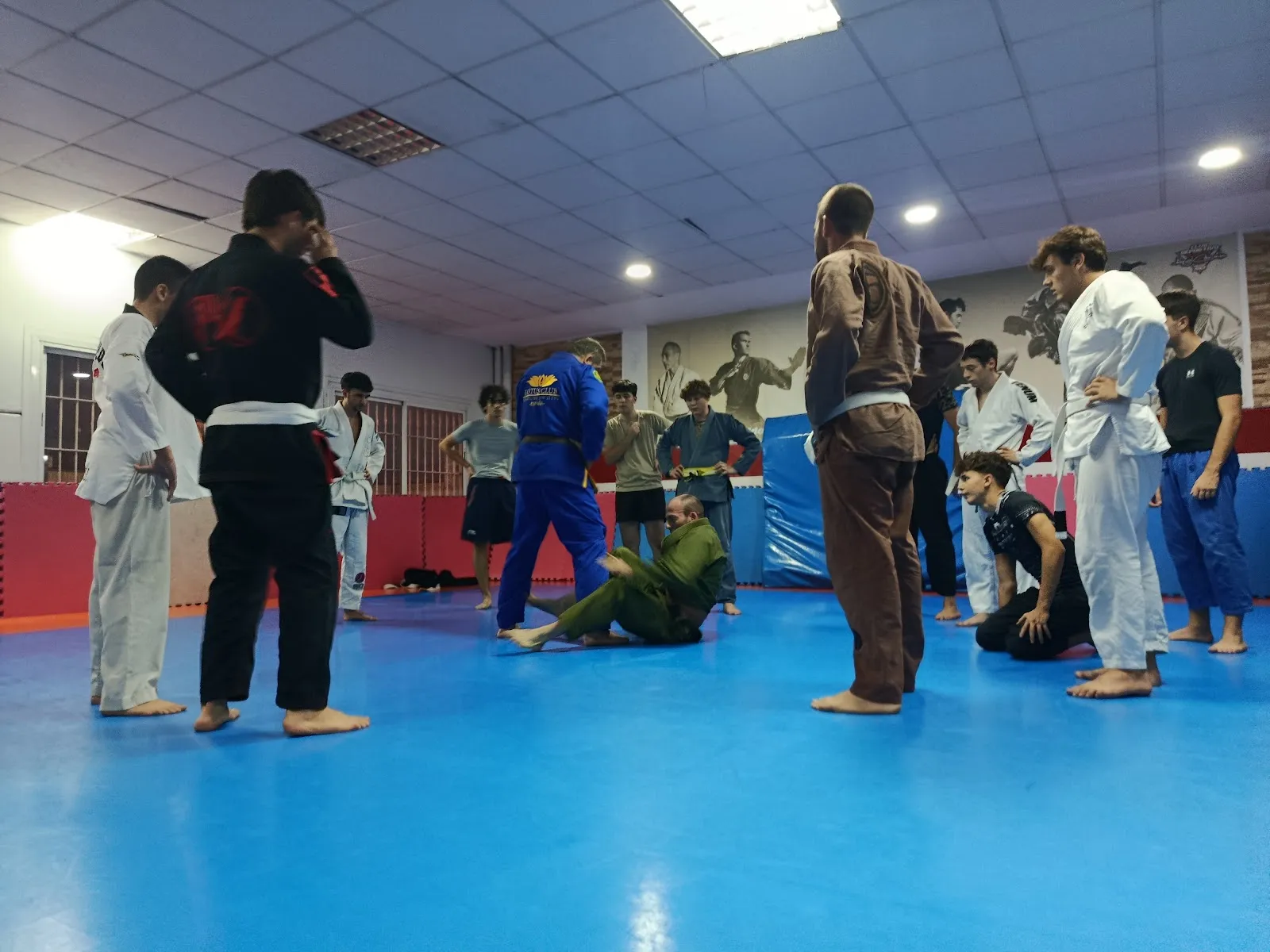 Lotus Jiu Jitsu Córdoba — artes marciales-studio en Córdoba — 5