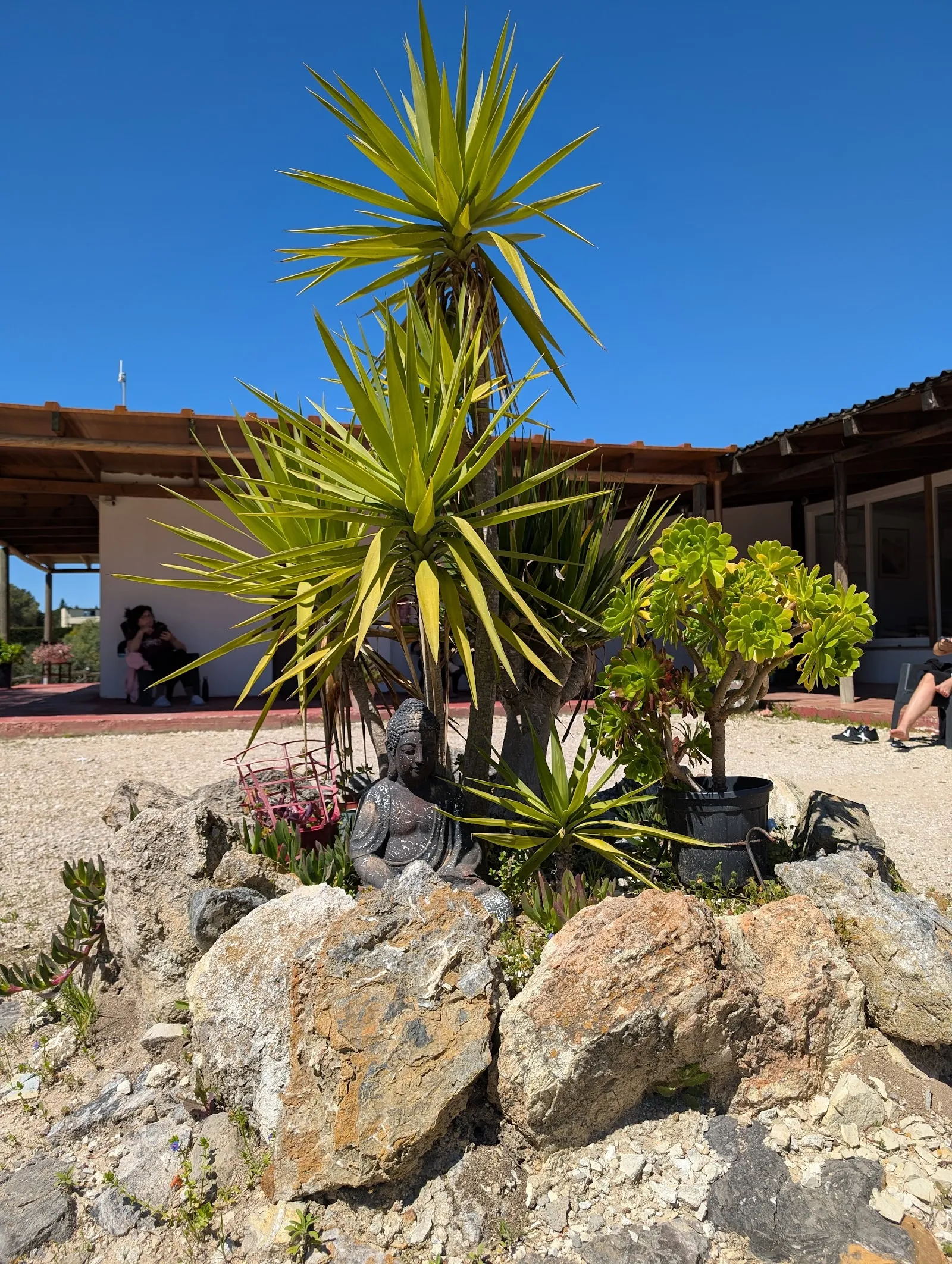Shangri-La Retiros — wellness-studio en Medina-Sidonia — 4