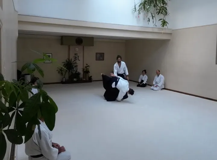 Kokyu Ho D'aïkido — arts martiaux-studio à Paris — 4