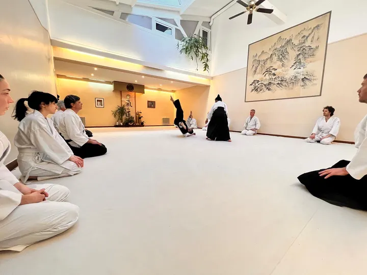 Kokyu Ho D'aïkido — arts martiaux-studio à Paris — 5