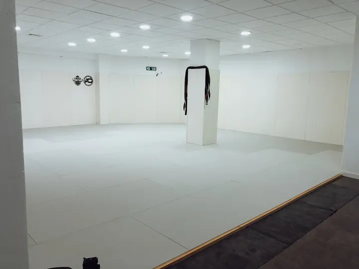 ILICE JIU JITSU ACADEMY — artes marciales-studio en Pont Nou, Elche — 2