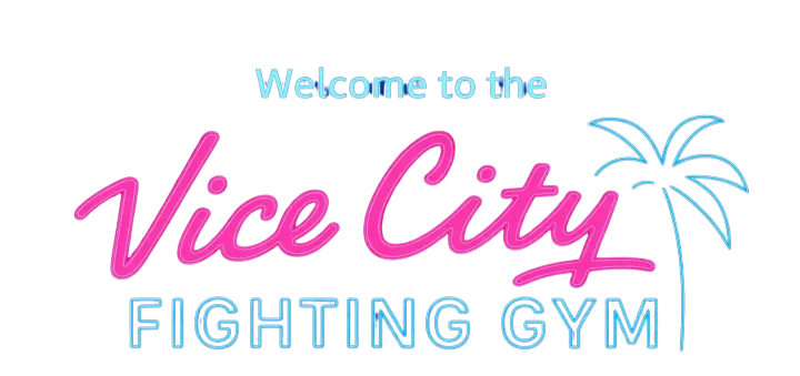 Vice City Fighting Gym — Boxen in Eidelstedt, Hamburg