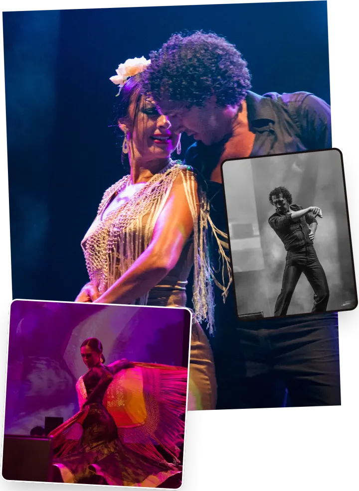 Estudio de baile Antonio y Mariví — dance-studio i Ciudad Jardín, Córdoba