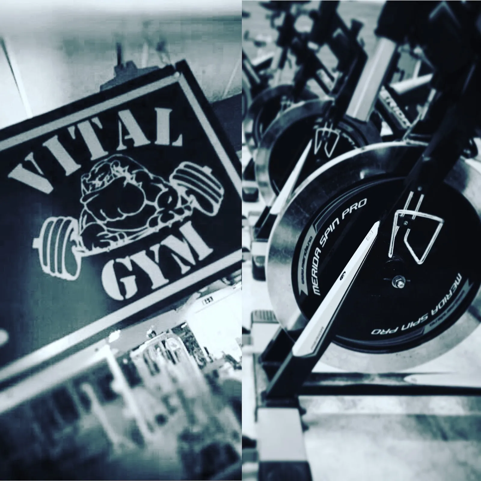 Vital Gym & Hälsa AB — träningsstudio-studio i Filipstad — bild 5