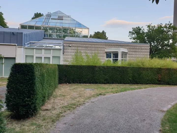 Ballettzentrum Westfalen — tanz-studio in Körne, Dortmund — 3