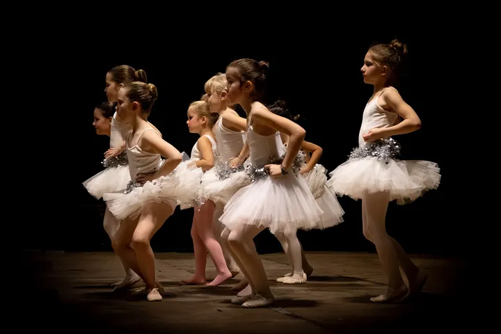 Studio Danse V D Art — danse-studio à Saint-Lys, Toulouse — 2