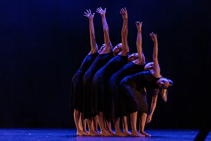 Studio Danse V D Art — danse-studio à Saint-Lys, Toulouse — 3