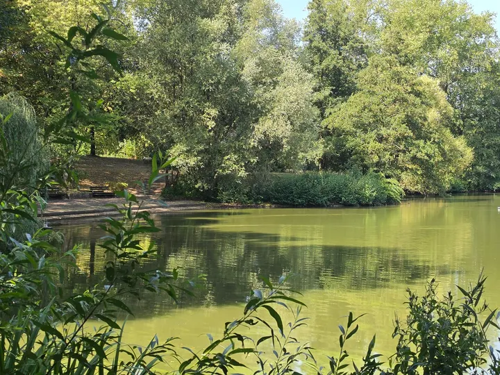Calisthenics Park Bethel — calisthenics-studio in Gadderbaum, Bielefeld — 3
