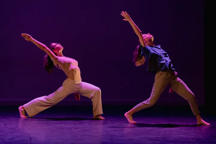 Le Cycle Chorégraphique Lyon — danse-studio à Villeurbanne — 5